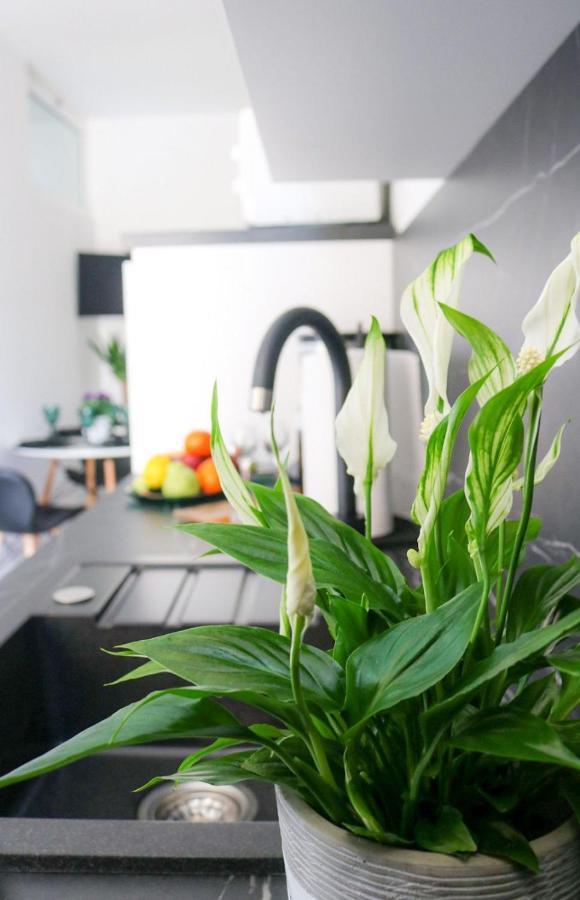 Cosmo Apartment Dubrownik Zewnętrze zdjęcie